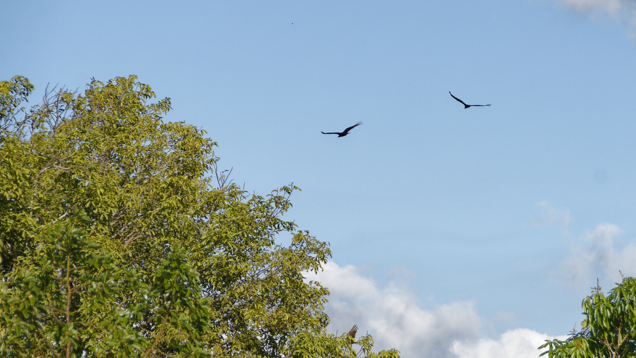 20190209-161041••Condado•Sancti Spiritus•Cuba